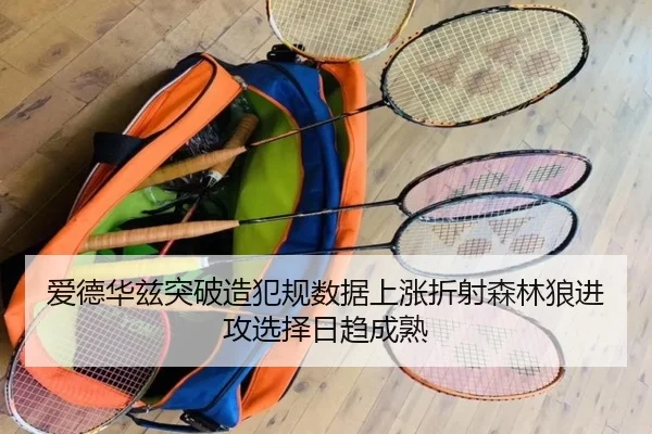 爱德华兹突破造犯规数据上涨折射森林狼进攻选择日趋成熟